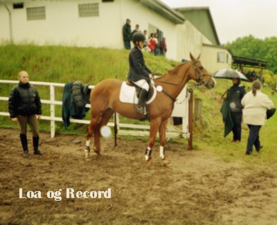 Fotos af elever og heste fra Bnderskovgrd, Loa (tidligere
underviser p Bnderskovgrd) med Record fra Bnderskovgrd, unghesten
Vixor fra Bnderskovgrd, Lena (tidligere
underviser p Bnderskovgrd) med sin hest Caribi e. Ibrahim og
hingsten Irish Boy e. Ibrahim