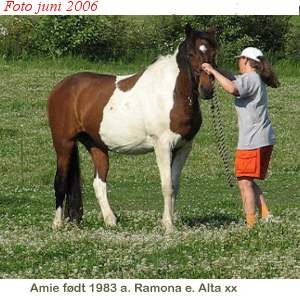 Amie, Mare born 1983 - click for next photo
