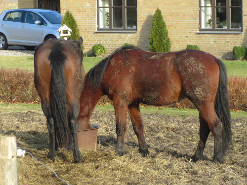 feb. 2012