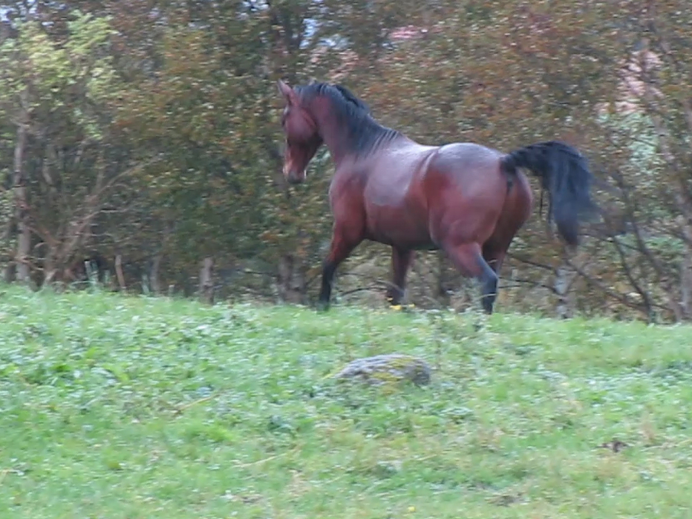 sep 2012