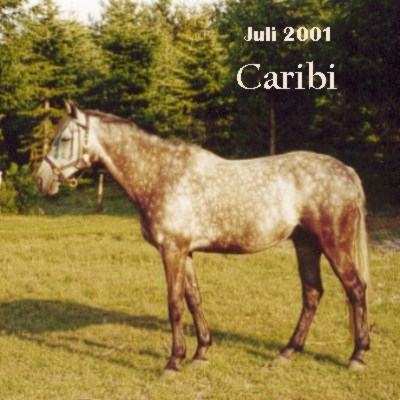 Caribi
 by Ibrahim,
photos from July 29th 2001  - click for next photo