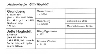 Afstamning for hoppen Gitte Hgholdt, der blev mor til avlshingsten Jarl