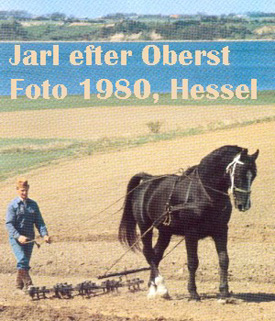 Jarl demonstrerer markarbejde p herregrden Hessel, der er et landbrugs-museum.