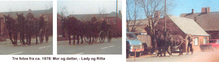 Hopperne Lady og Ritta, - mor og datter