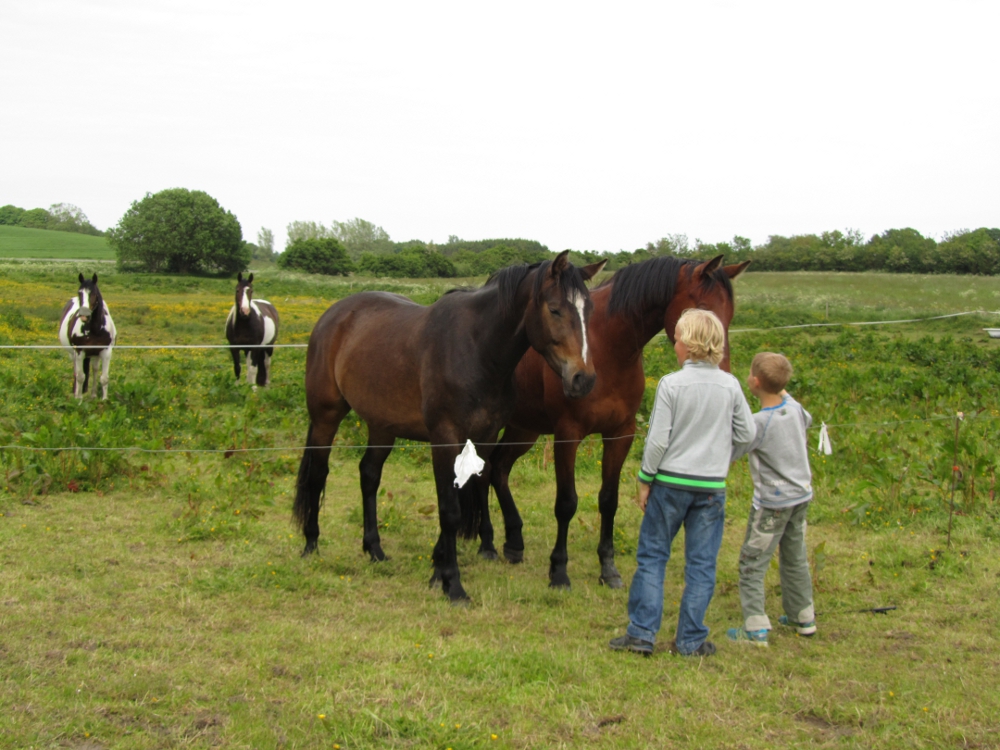 juni2012