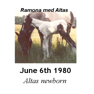 altas newborn 1980